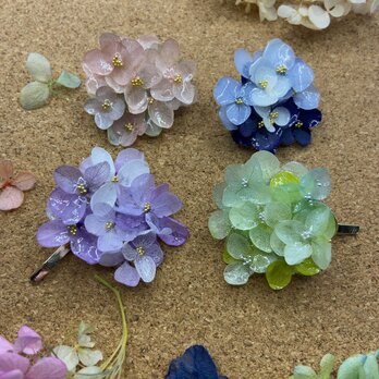 色とりどり   プリザーブドフラワー紫陽花のポニーフックの画像