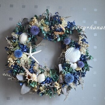 海底の群青wreathの画像