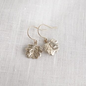 Barnet leaf earrings [EP068K10]の画像