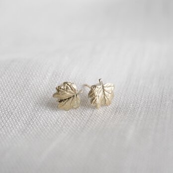 Barnet leaf stud earrings [EP069K10]の画像