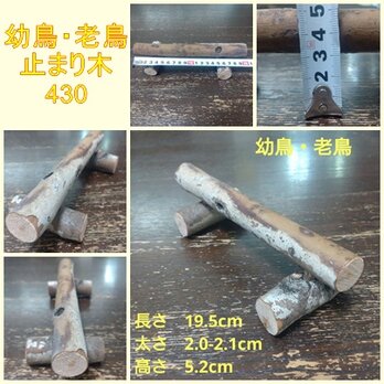 幼鳥、老鳥用の止まり木（枝）(TOY-08-002) 430の画像