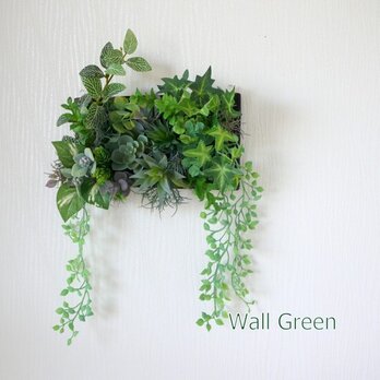 光触媒加工　多肉植物　リモート背景　ウォールグリーン　アーティフィシャルフラワーの画像
