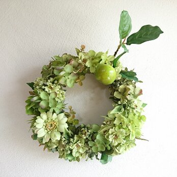 green de apple wreathの画像