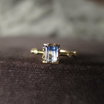 Ｋ18 Bicolor Blue Sapphire・Diamond Ringの画像