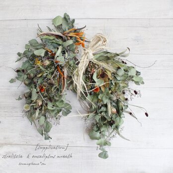 [supplication]wreath　　ストレリチアを使った馬蹄リース　　ホースシューリース　ドライフラワーリース　の画像