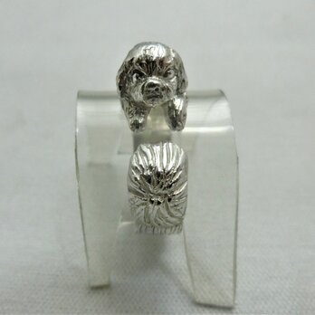 シーズーリング