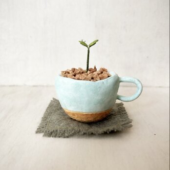 5810.bud 粘土の鉢植え マグカップの画像