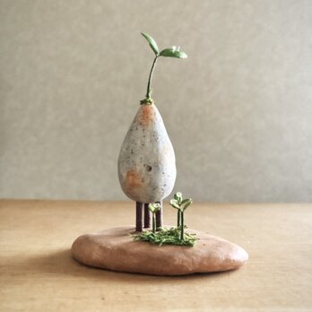 5817.bud 三本脚 育み中