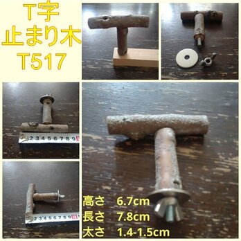 止まり木（枝：TOY-23-004改) T517の画像