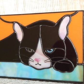 ハチワレ猫のステンドグラスのティッシュBOXの画像