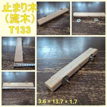 止まり木（流木：TOY-08-015）T133
