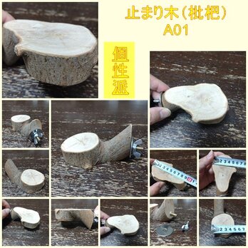 丸太切り株の止まり木（枇杷）（TOY-08-045)　A01の画像