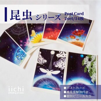 ポストカード【昆虫&花】14枚SET　ヒーリングアート　絵はがき　吉虫　惑星　宇宙