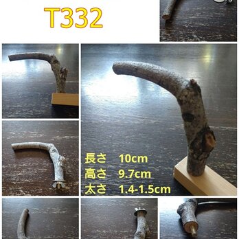 止まり木（枝：TOY-23-004) T332の画像