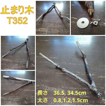 止まり木（枝：TOY-08-015）T352の画像