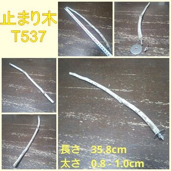 止まり木（枝：TOY-08-015）T537