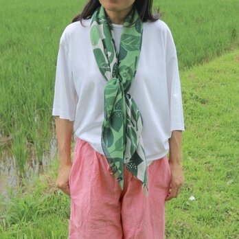 コットンスカーフ「桃栗三年柿八年」変化の画像