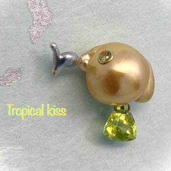 Tropical kiss（トロピカルキッス）の画像