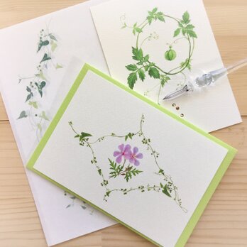 風露草と蔓草のカードレター　の画像