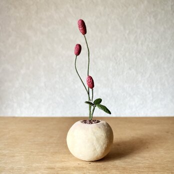 5870.bud 粘土の鉢植え ワレモコウ
