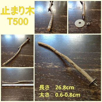 止まり木（枝：TOY-08-015）T500の画像