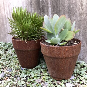 鉄の植木鉢　6個セット　5号サイズの画像