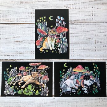 オリジナルポストカード３枚セット 「キノコシリーズ」★キノコ 猫 星月猫 アートの画像