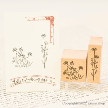スタンプ 【 道端でひっそり咲いてた カモミール  】（２種類セット） カードやノート、手帳をオシャレに彩る ハンコの画像