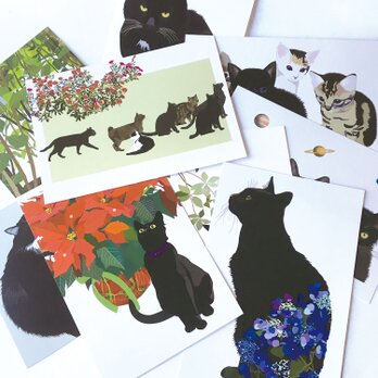 黒猫ポストカード10枚セットの画像