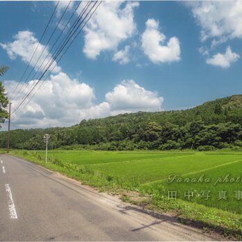 田園風景と道(2Lサイズ) LP0509-2Lの画像
