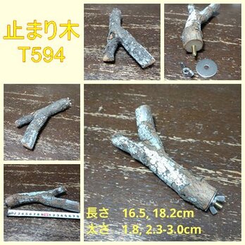 止まり木（枝：TOY-08-015）T594