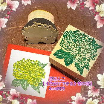 ⁂秋のはんこ〓《色分けできる》【菊の花】4㎝四方の画像