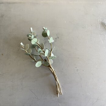 ユーカリのコサージュ(大)