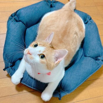 ペット用ベッド　クッション　猫用ベッド　犬用ベッド　岡山　デニム　　抗菌　抗ウイルス　消臭　インディゴ　ブラックの画像