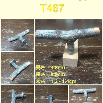 止まり木（枝：TOY-23-004) ＋One T467の画像
