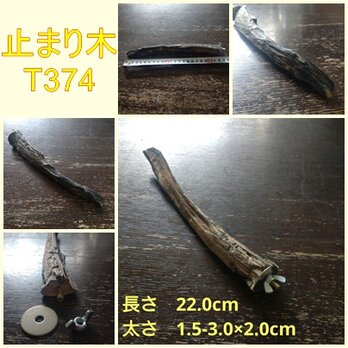 止まり木（枝：TOY-08-015）T374、T381、T391、T393の画像