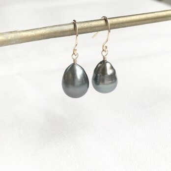 黒蝶タヒチパール ピアス bdの画像