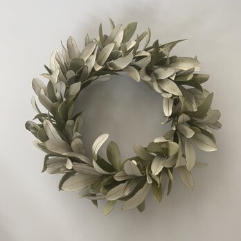 バンクシアのシンプルリース