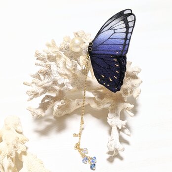 【ダークシリーズ】蝶のピアス（モルフォ）の画像