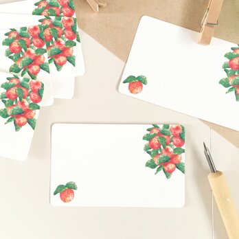 ヒメリンゴのメッセージカード 10枚入 名刺サイズのミニカード 果物 林檎 秋 レトロの画像