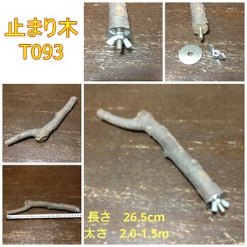 止まり木（枝：TOY-08-015）T093、T382、T383、T386、T388の画像
