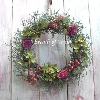 ブルーアイスの優しいリース