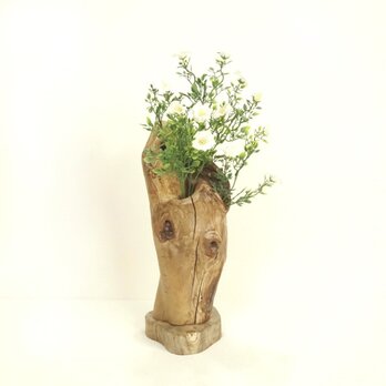 【温泉流木】芸術的にかわいい幹流木の2つ穴一輪挿し・花器 花瓶 流木インテリアの画像