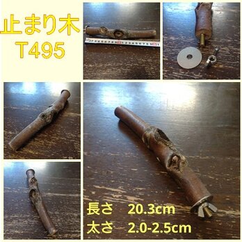 止まり木（枝：TOY-08-015）T495の画像