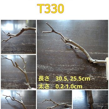 止まり木（枝：TOY-08-015）T330の画像