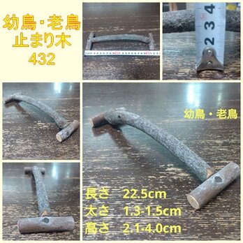 幼鳥、老鳥用の止まり木（TOY-08-038) 432の画像