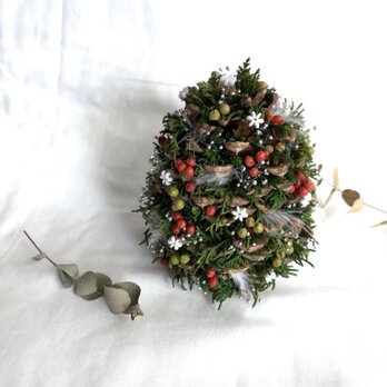 【煌めくクリスマス！】シェラコーンのクリスマスツリーの画像