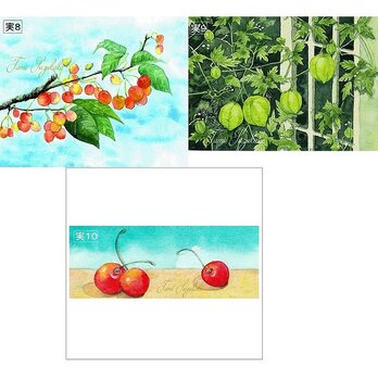 「果実8～10番」アートカード選べる２枚セット（はがきサイズ）の画像