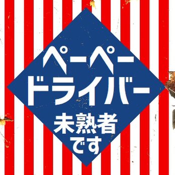 ペーペードライバー 未熟者です カー マグネットステッカーの画像