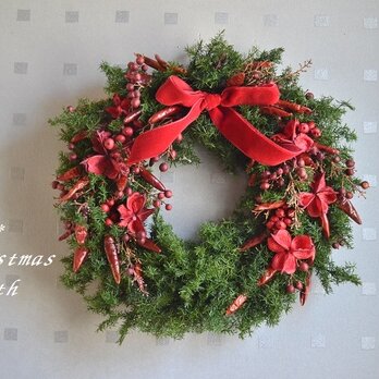 トウガラシの赤wreathの画像
